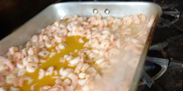 Youth Consultation Services